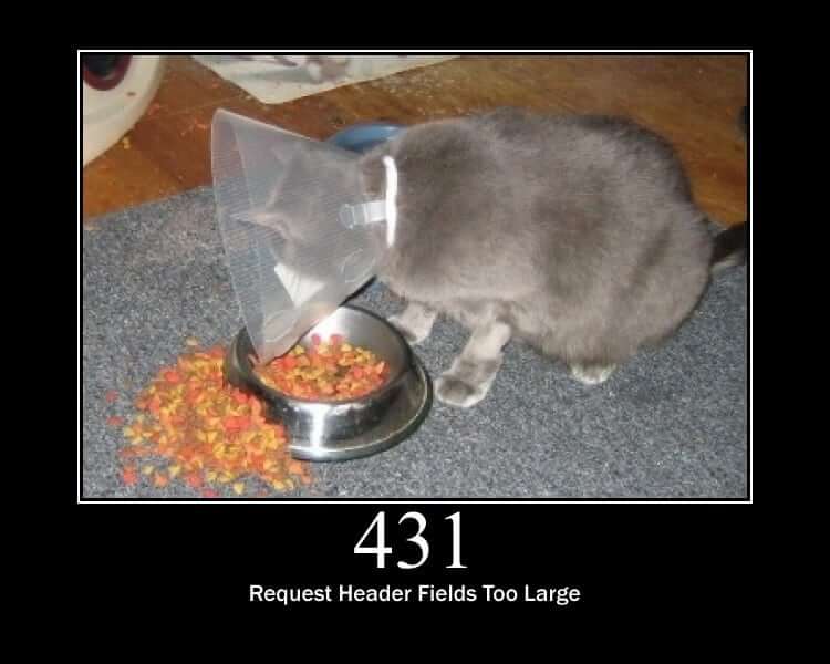 431